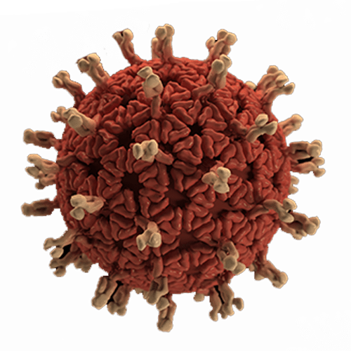 Corona Virus Transparent